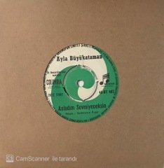 Ayla Büyükataman Anladım Sevmeyeceksin 45lik