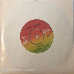 Talip Özkan Al Yazmam 45lik