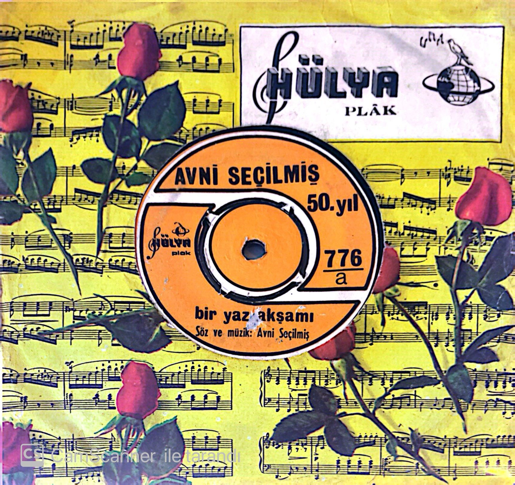 Avni Seçilmiş 50.yıl - Bir Yaz Akşamı 45lik