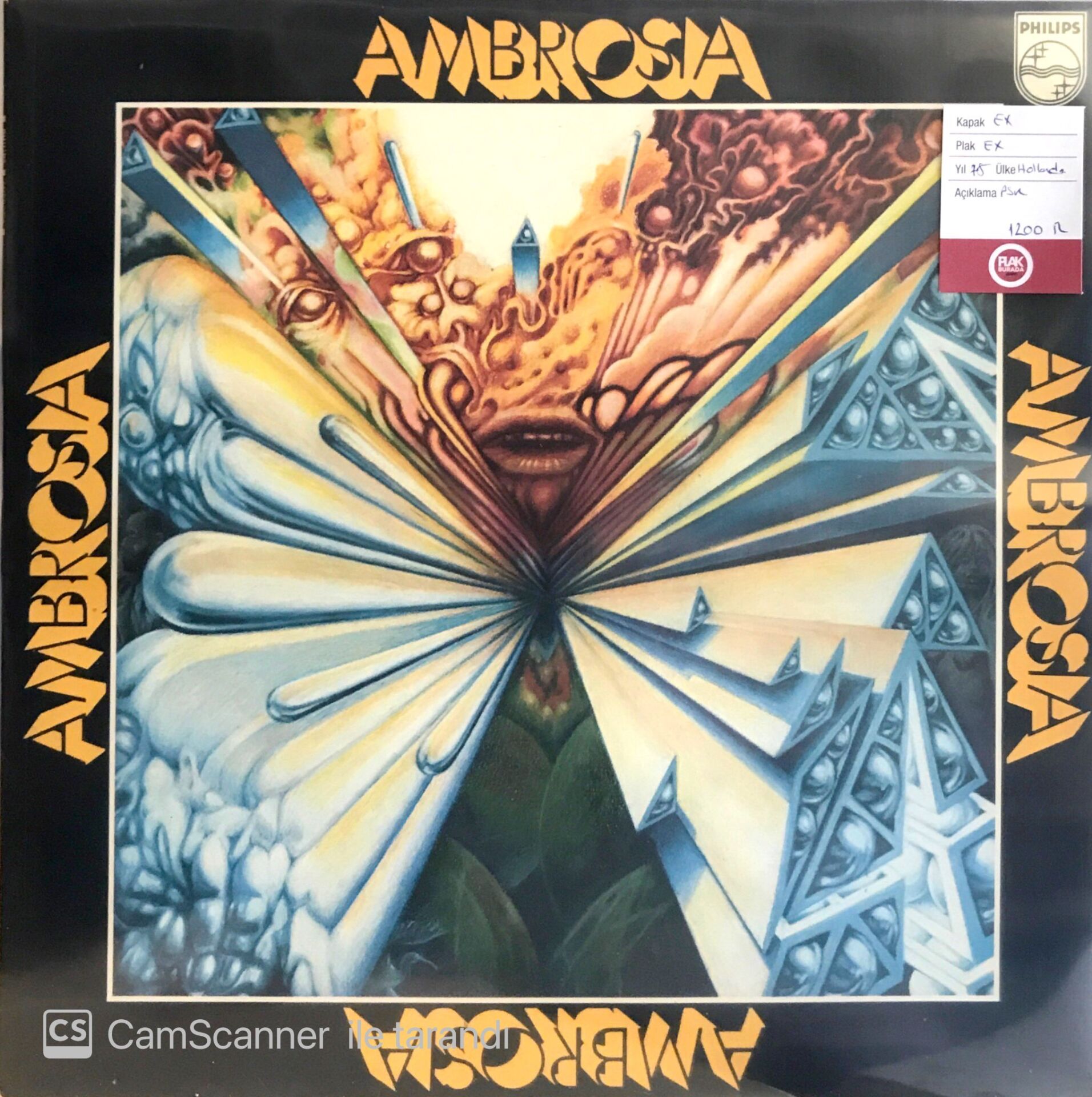 Ambrosia LP