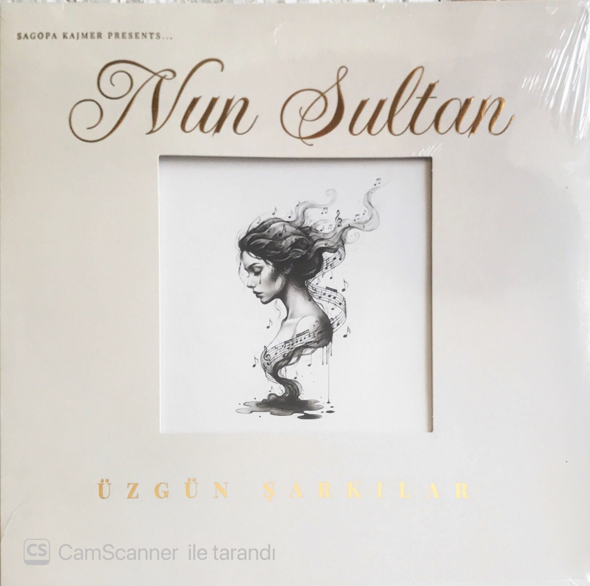 Nun Sultan - Üzgün Şarkılar LP