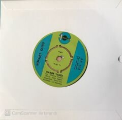 Nükhet Duru Canım Yandı 45lik