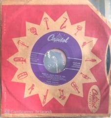 Frank Sinatra - Mind If I Make Love To You 45lik