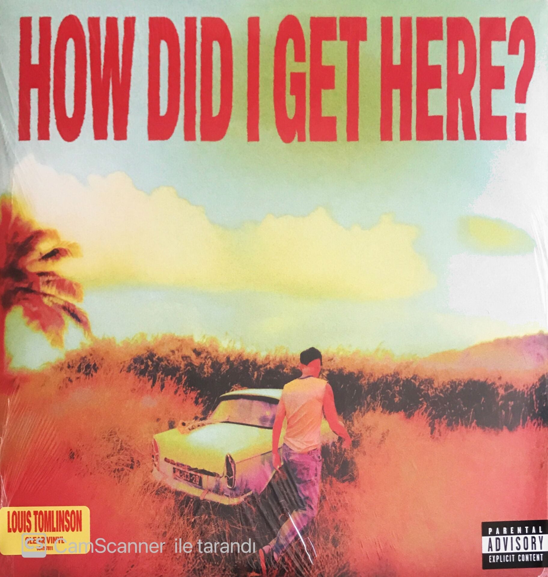 Louis Tomlinson - How Did I Get There? - LP
