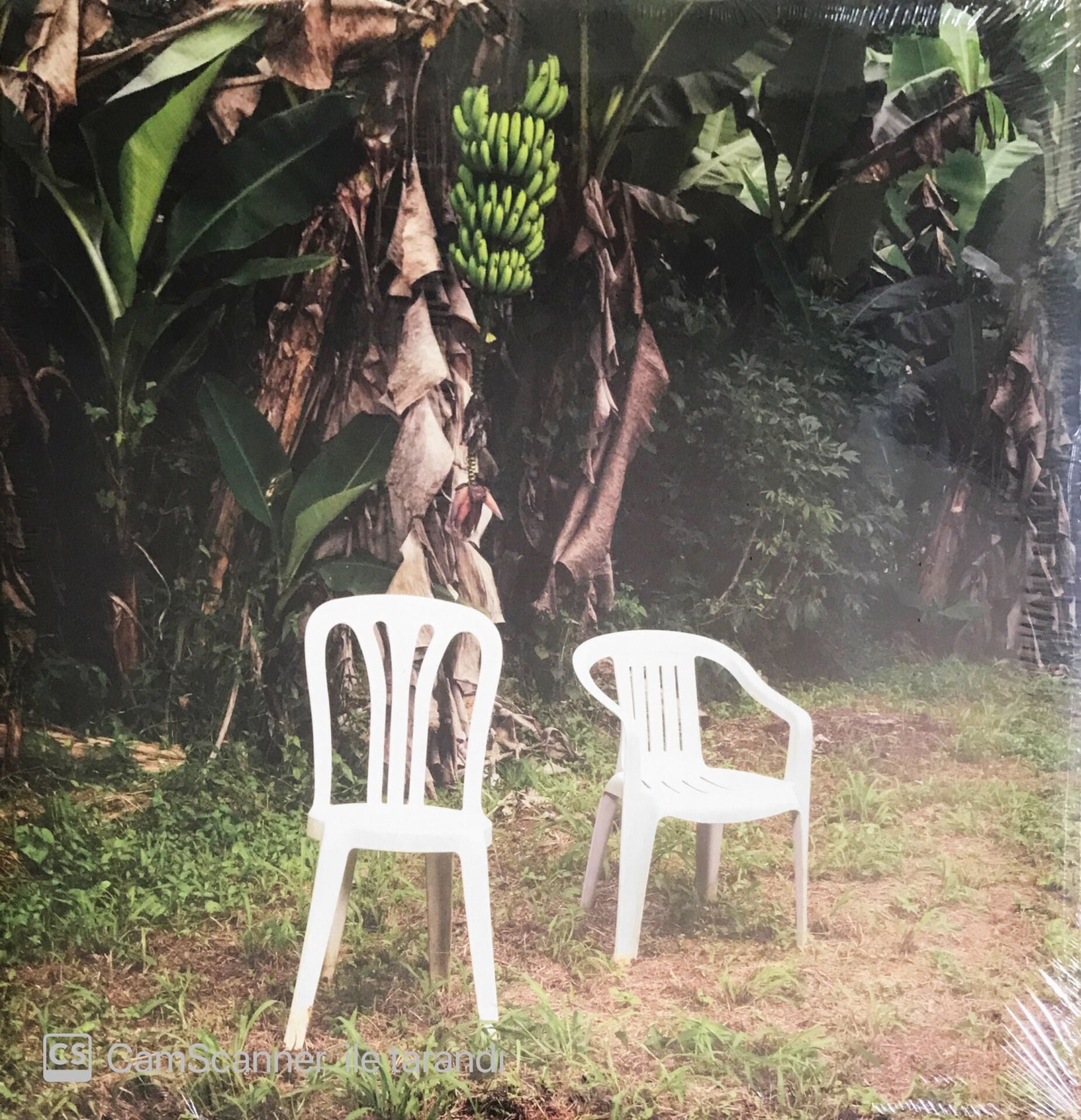 Bad Bunny - Debi Tirar Mas Fotos - LP