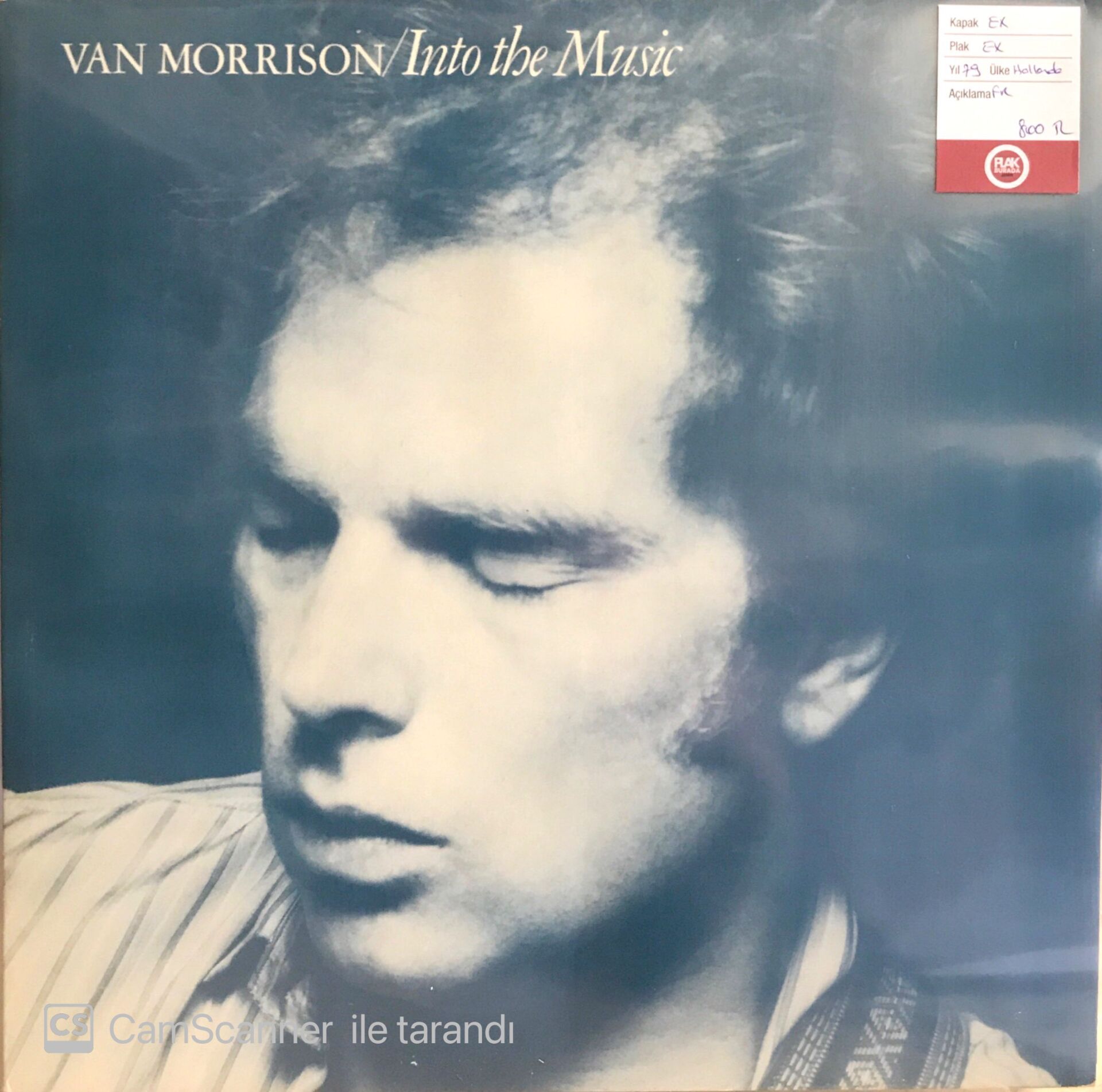 Van Morrison / Into The Music LP