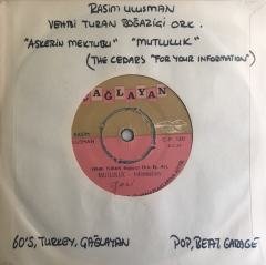 Vehbi Turan Boğaziçi Orkestrası Mutluluk 45lik