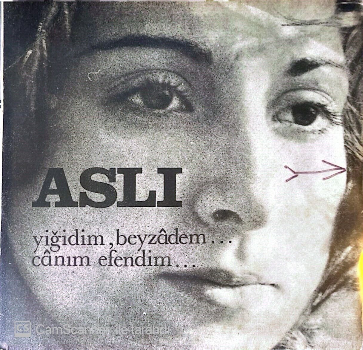 Aslı Yiğidim Beyzadem 45lik