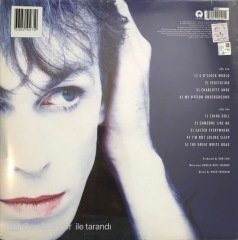 Julian Cope My Nation Underground LP