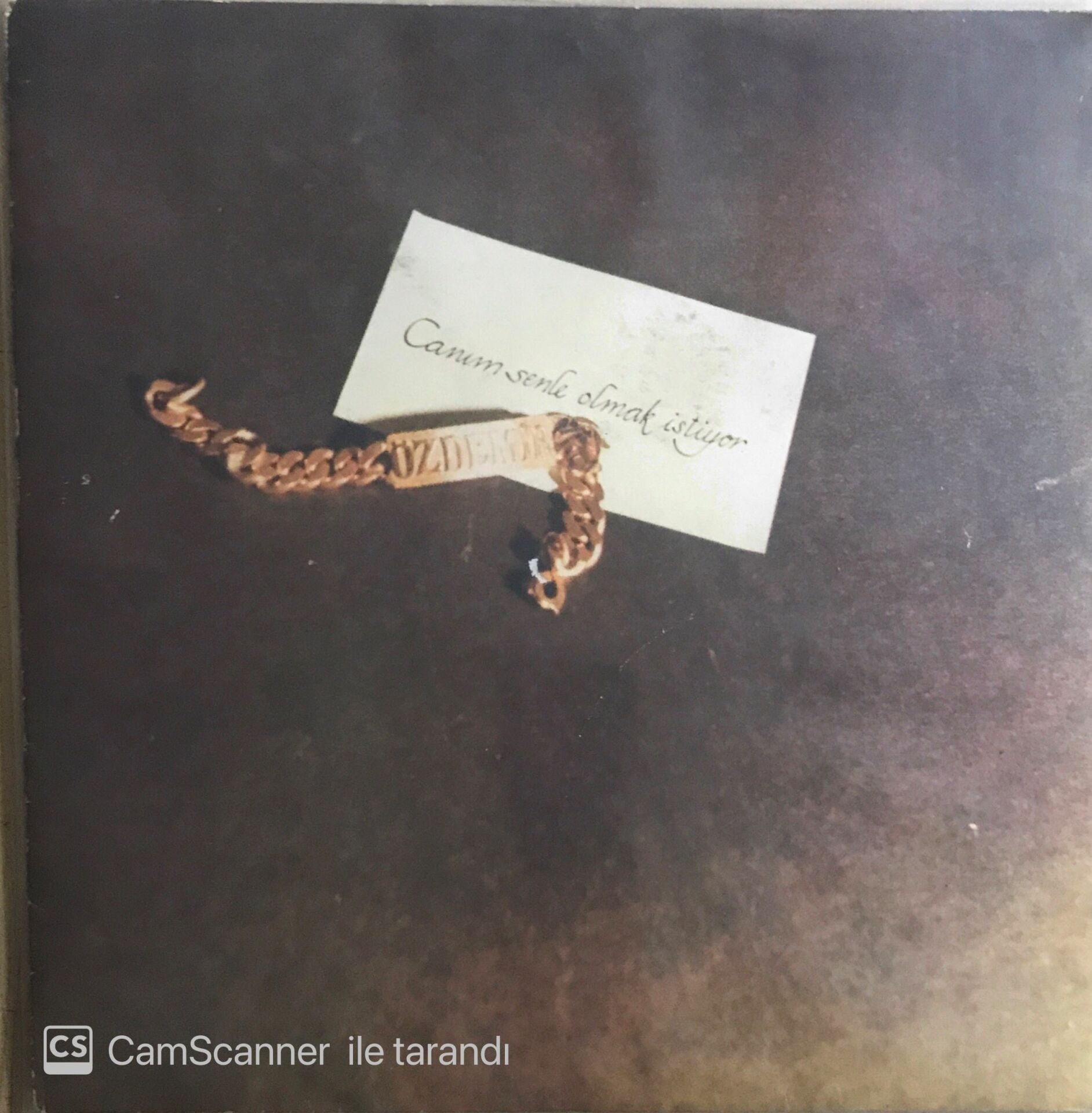 Özdemir Erdoğan - Canım Senle Olmak İstiyor - LP