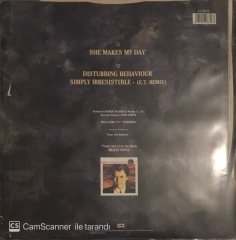 Robert Palmer She Makes My Day LP