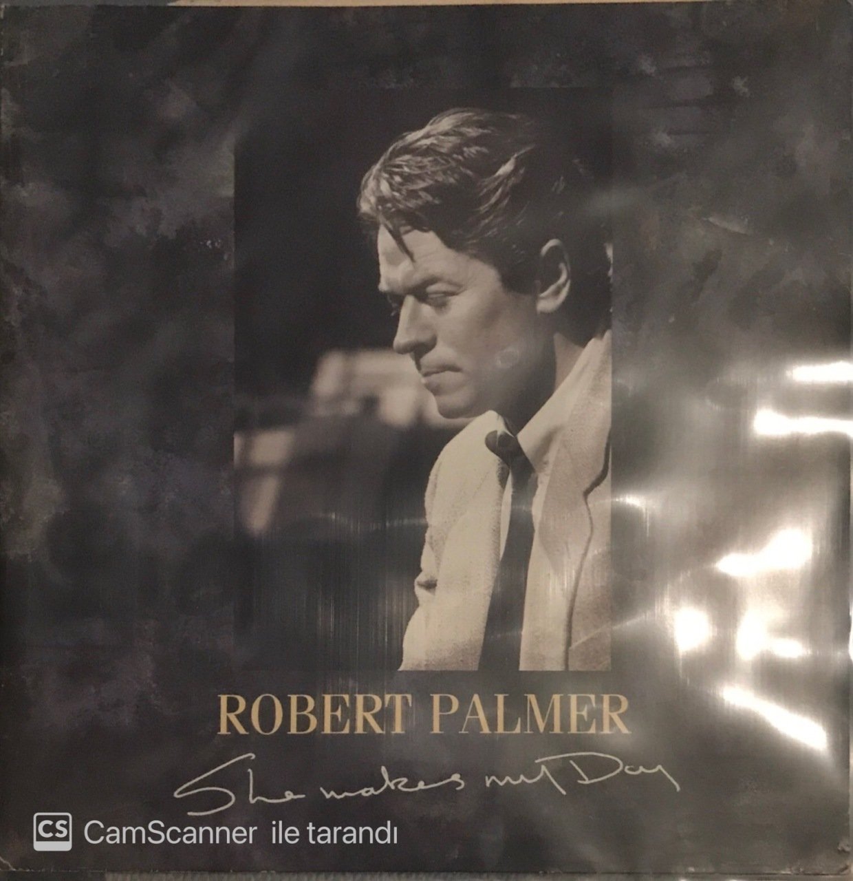 Robert Palmer She Makes My Day LP