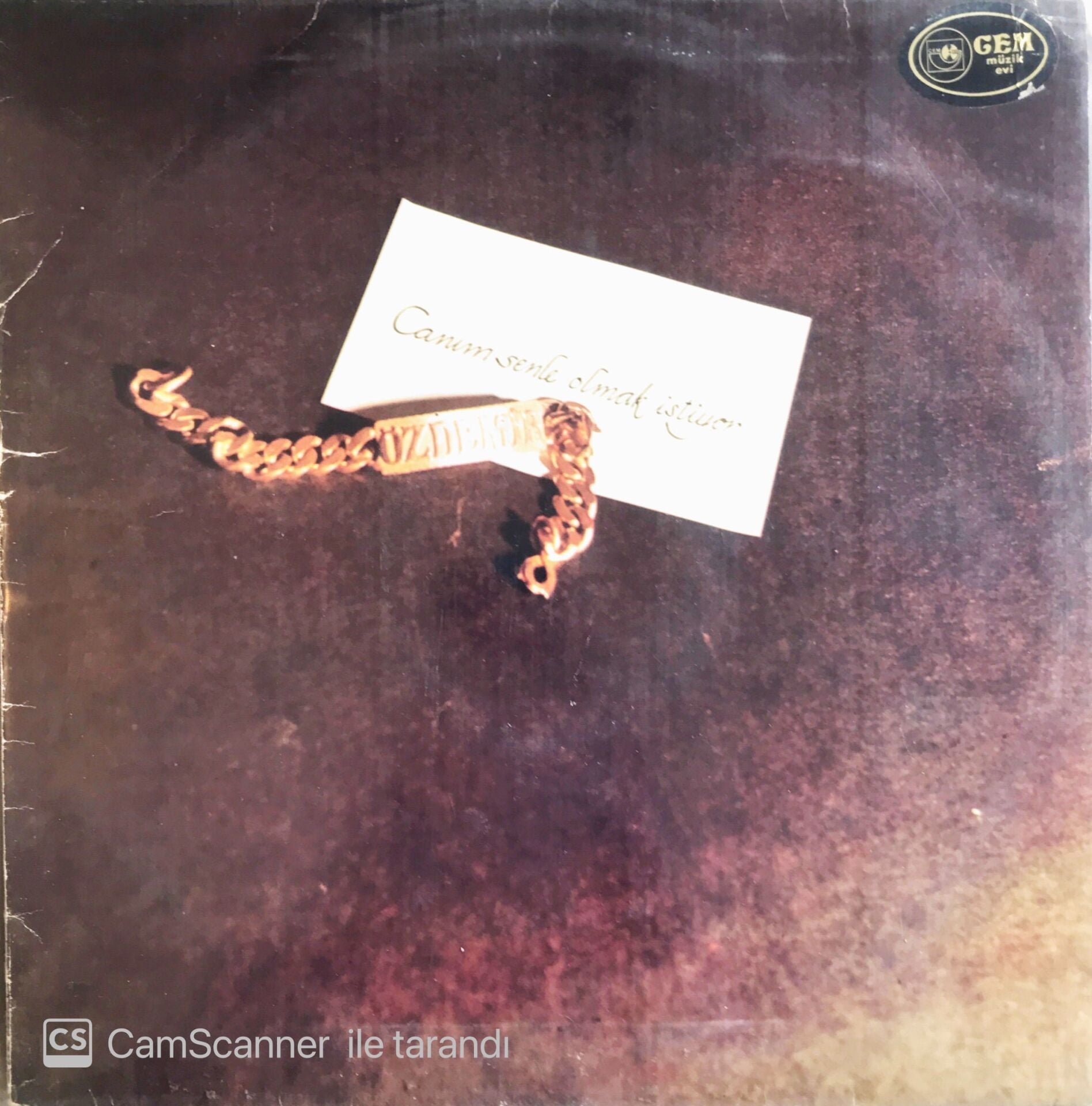 Özdemir Erdoğan - Canım Senle Olmak İstiyor - LP