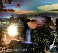Tortoise / It's All Around You CD