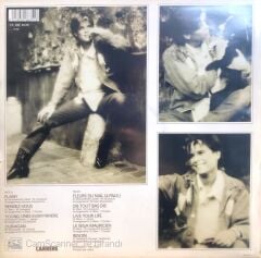 Stephanie / Besoin LP