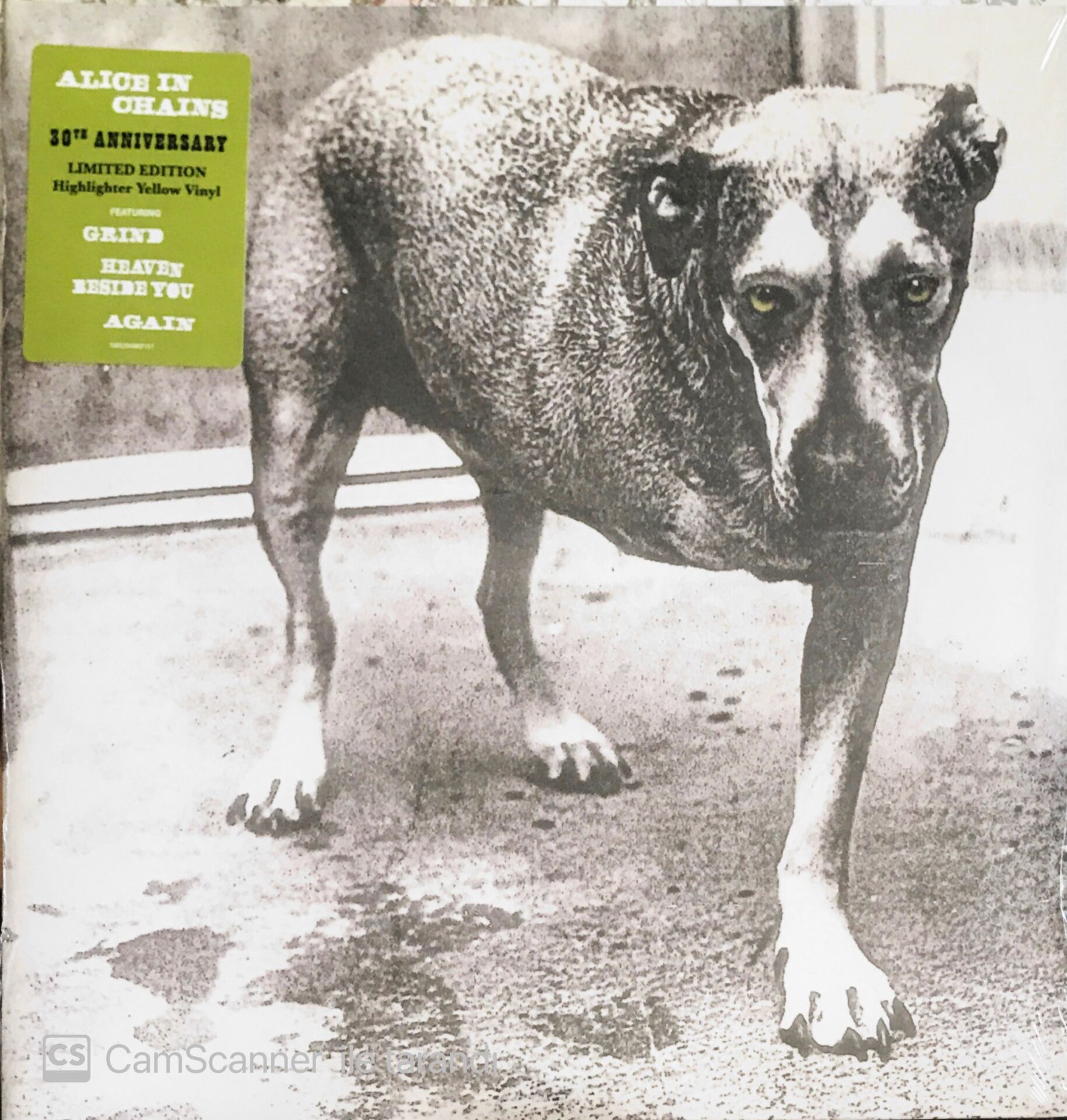 Alice In Chains - Alice In Chains - (30th Anniversary Limited Edition Highlighter Yellow Vinyl) - Double LP