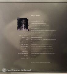 This Mortal Coil - İt'll end in Tears LP