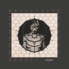 Enigma - A Posteriori (MONOCHROM) LP