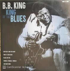 B.B. King - King of the Blues LP