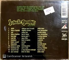 Jungle Groove / Jazzy Beats CD