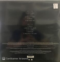 New Young Pony Club - The Optimist LP