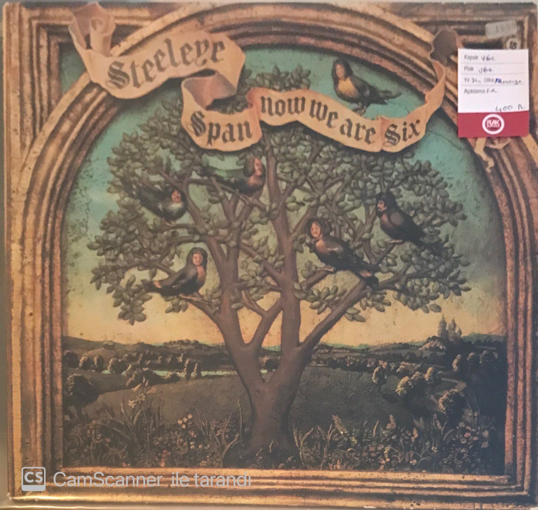 Steeleye Span - Now We  Are Six LP