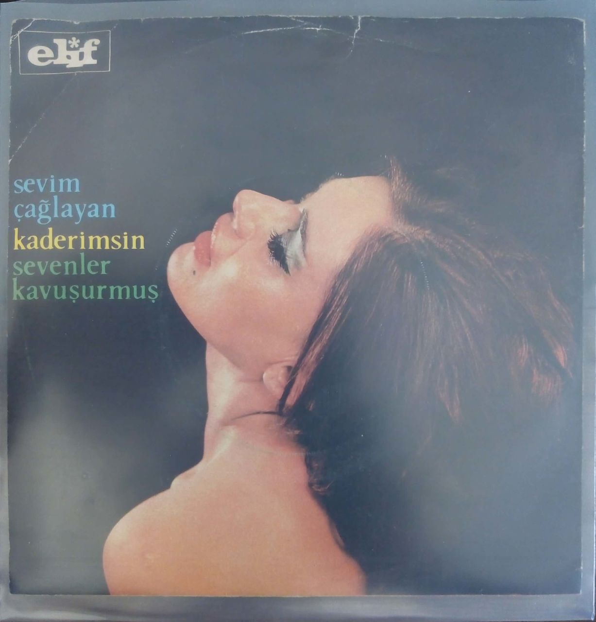 Sevim Çağlayan Sevenler Kavuşurmuş 45 Lik