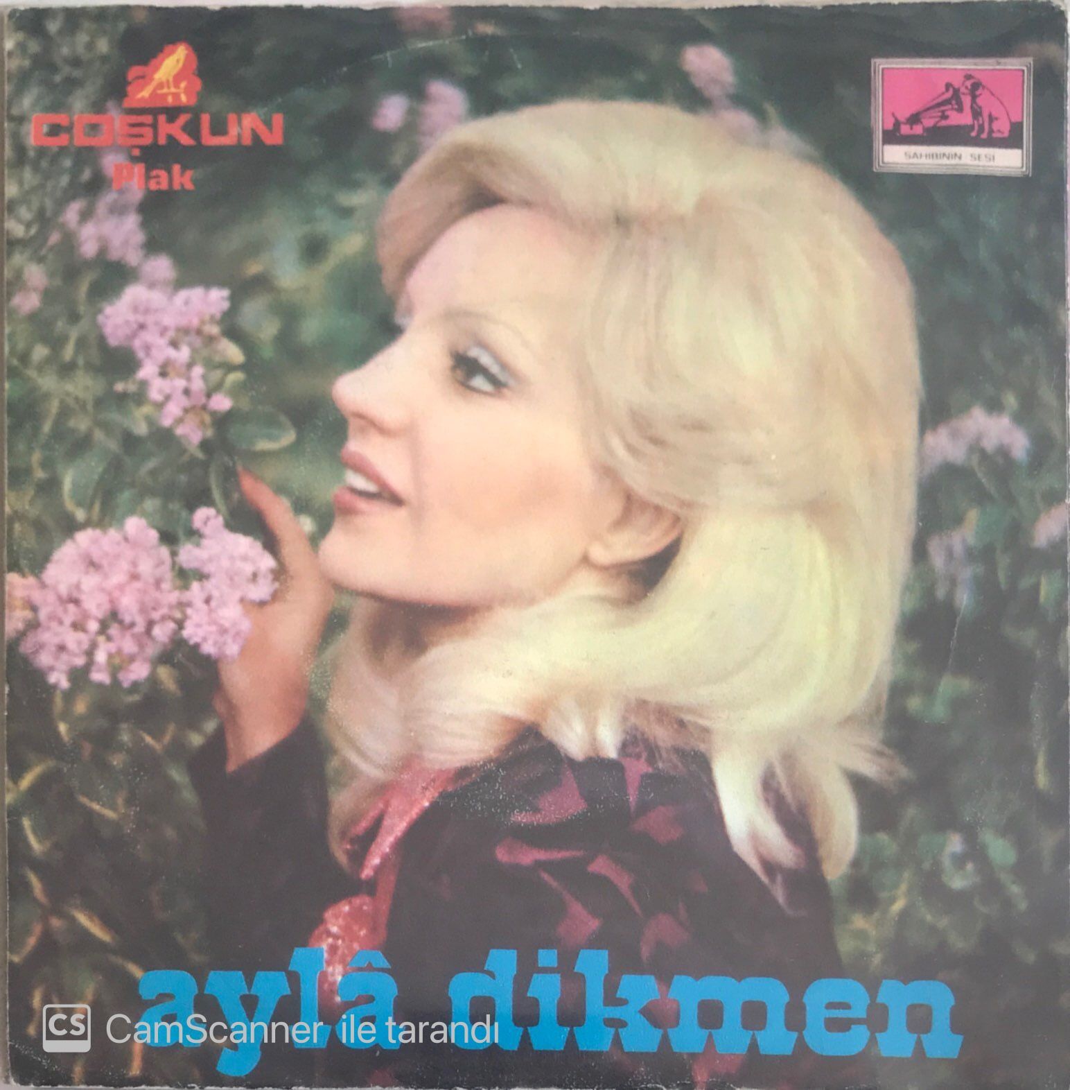 Ayla Dikmen - İlk ve Son Aşkımsın 45lik