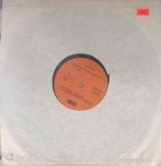 Alpay - Güven Parkı LP