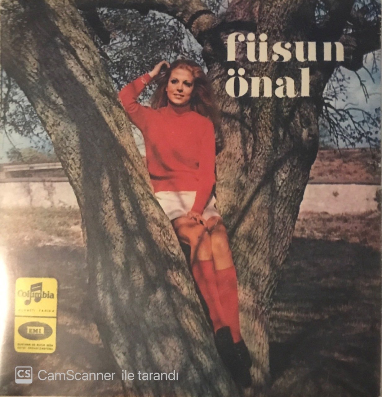 Füsun Önal Kim Derdi Ki 45lik