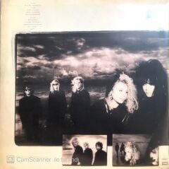 Heart / Bad Animals LP