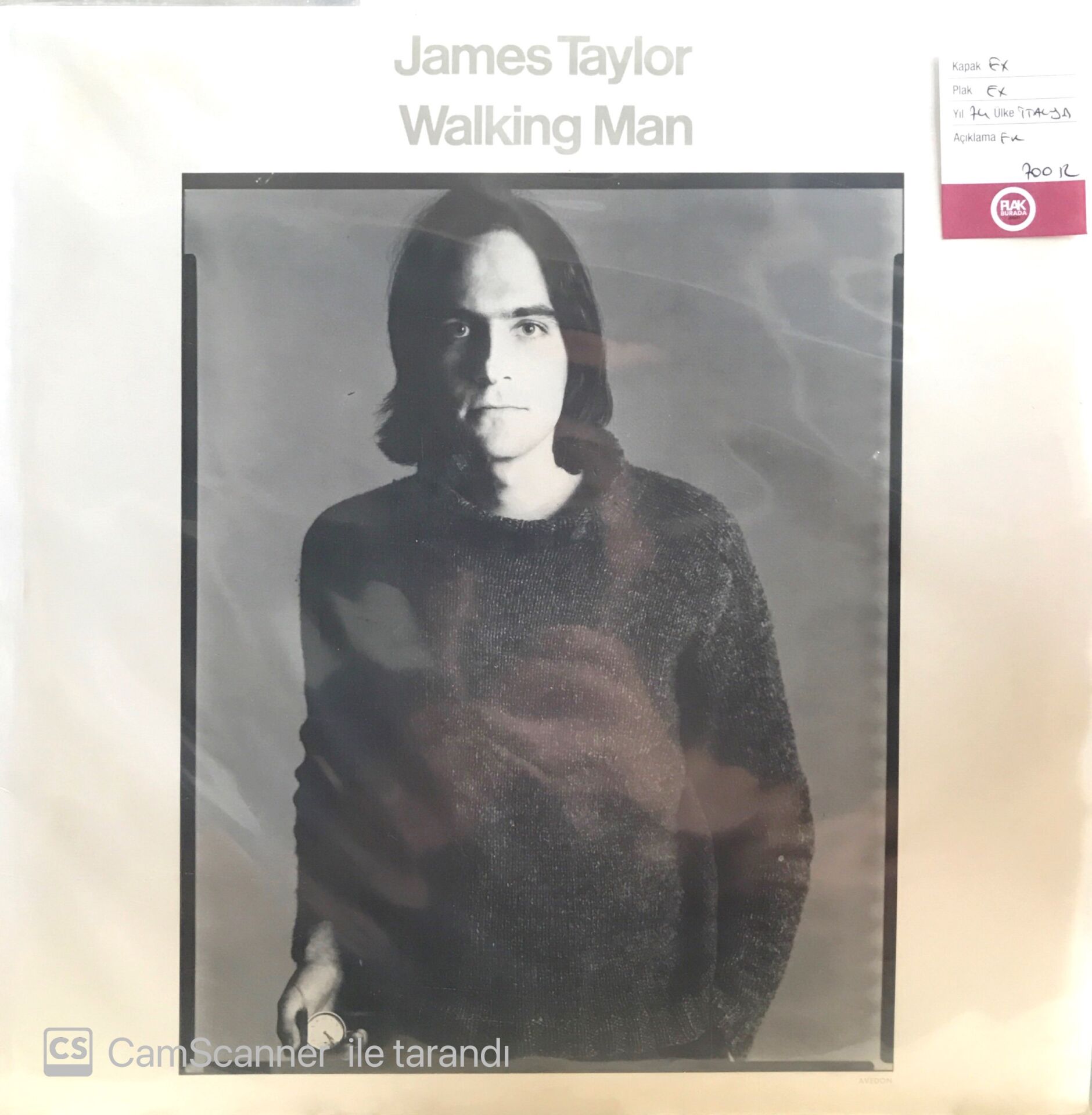 James Taylor - Walking Man LP
