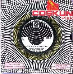 Neşe Alkan - Dilo Dilo Yaylalar 45lik