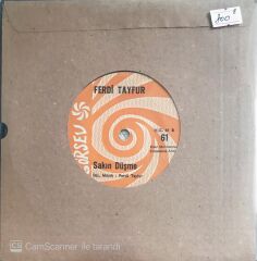 Ferdi Tayfur - Ne Bilirim Ki/Sakın Düşme - 45'lik