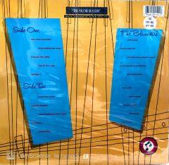 Neil Young & The Bluenotes This Notes for You LP