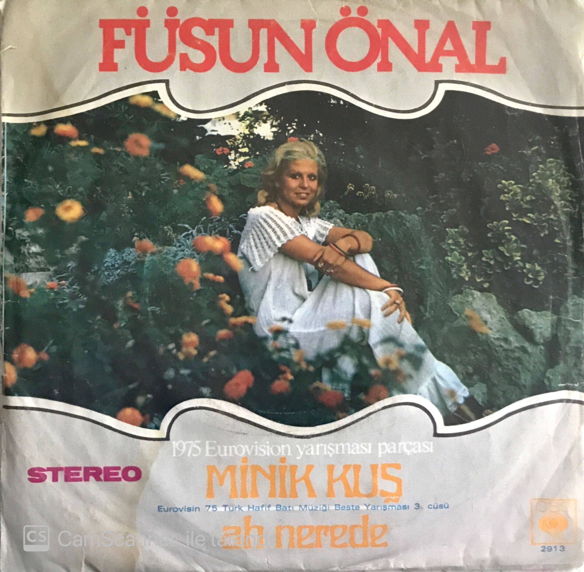 Füsun Önal - Ah Nerede 45lik