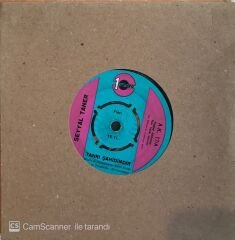 Seyyal Taner - Tanrı Şahidimdir 45lik