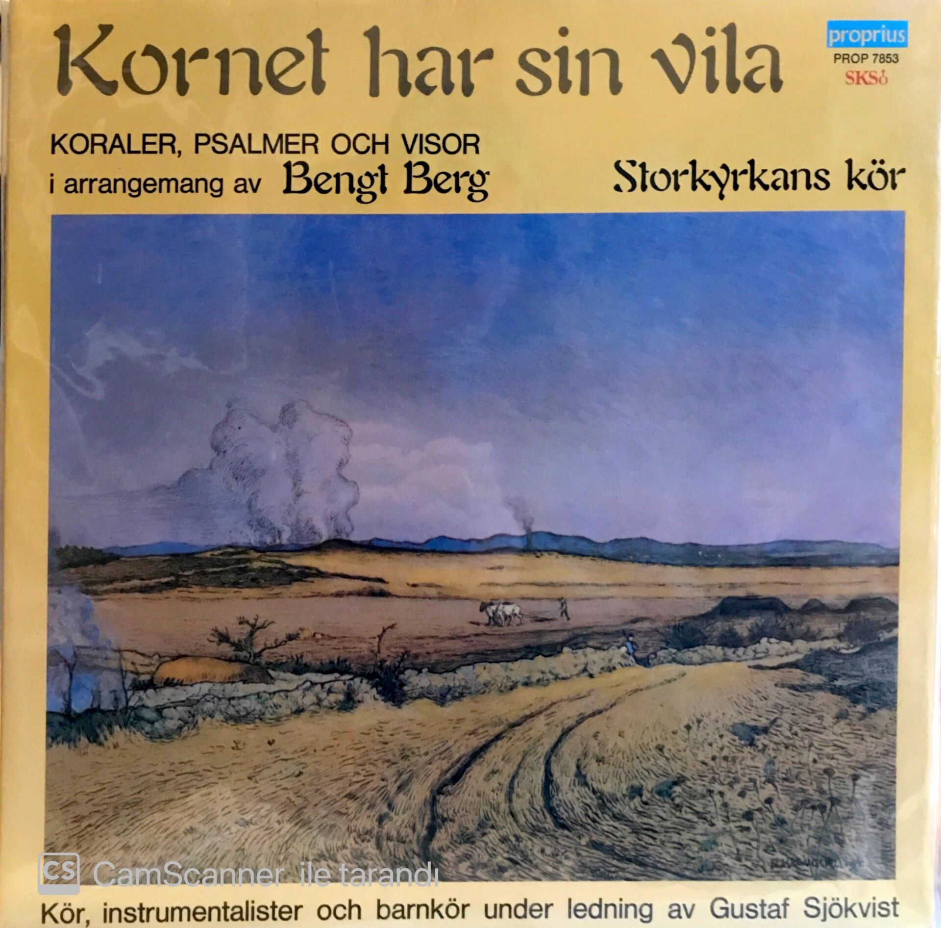 Kornet Har Sin Vila LP