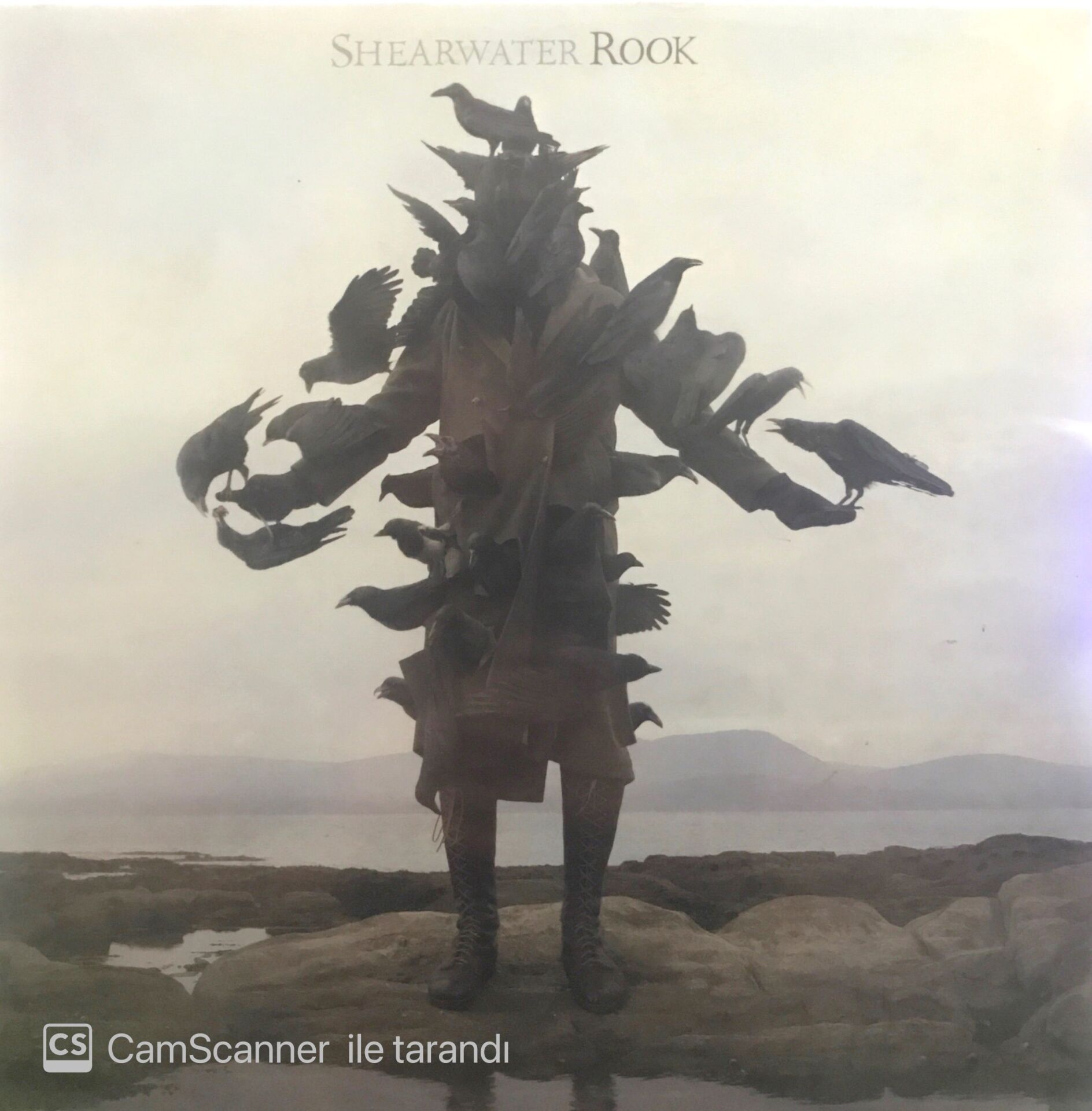 Shearwater Rook LP