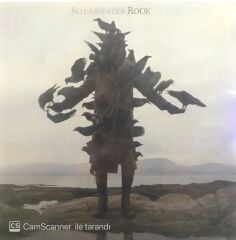 Shearwater Rook LP