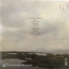 Shearwater Rook LP