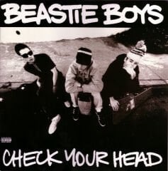 Beastie Boys - Check Your Head Double LP