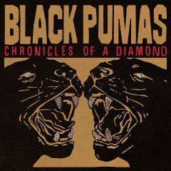 Black Pumas – Chronicles Of A Diamond LP (Şeffaf)