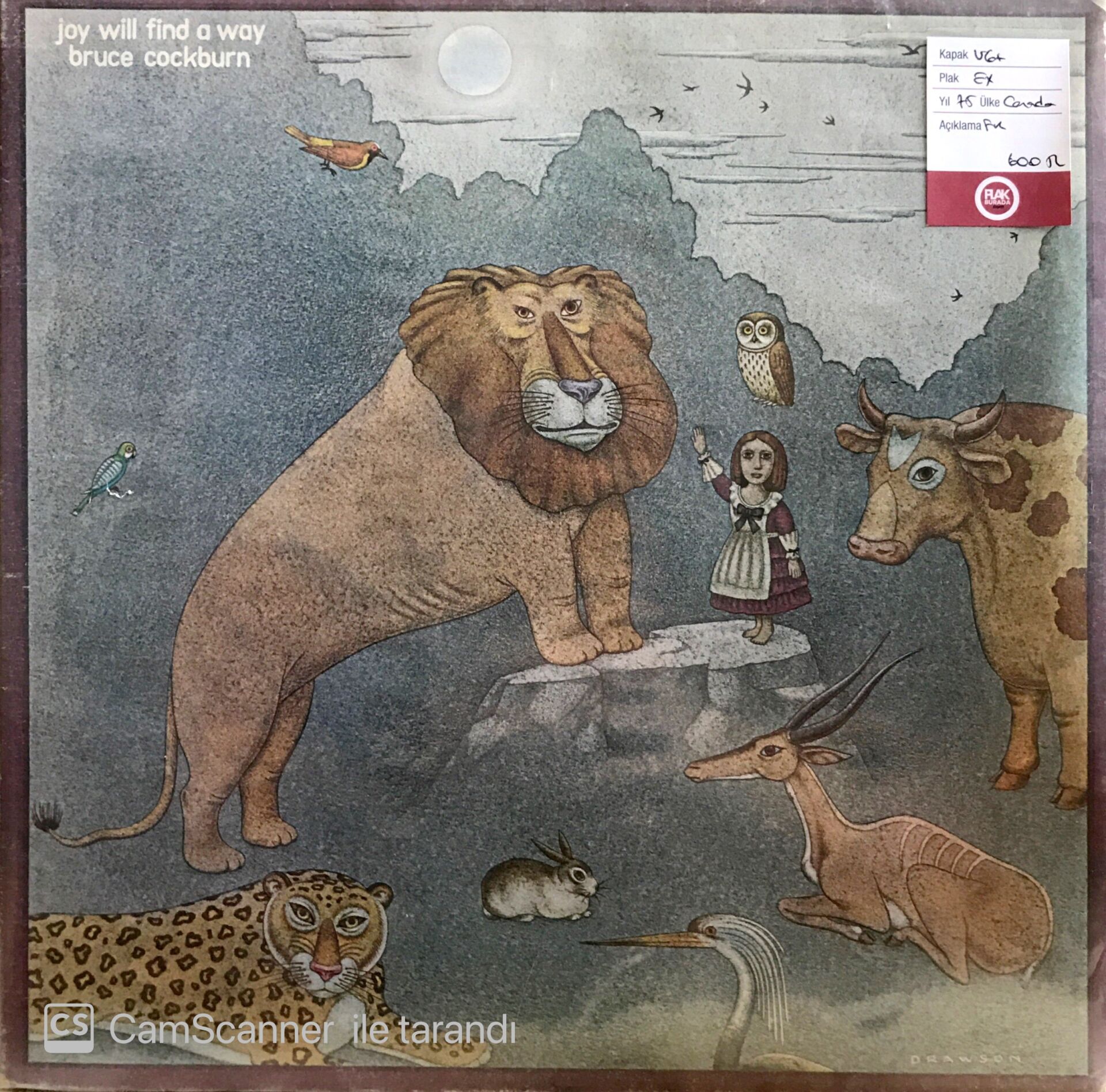 Bruce Cockburn - Joy Will Find a Way LP