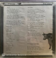 Bruce Cockburn - Joy Will Find a Way LP
