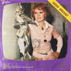 Neşe Karaböcek - Uğur Böceği LP