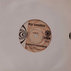 Neşe Karaböcek Duydum Ki Unutmuşsun 45lik