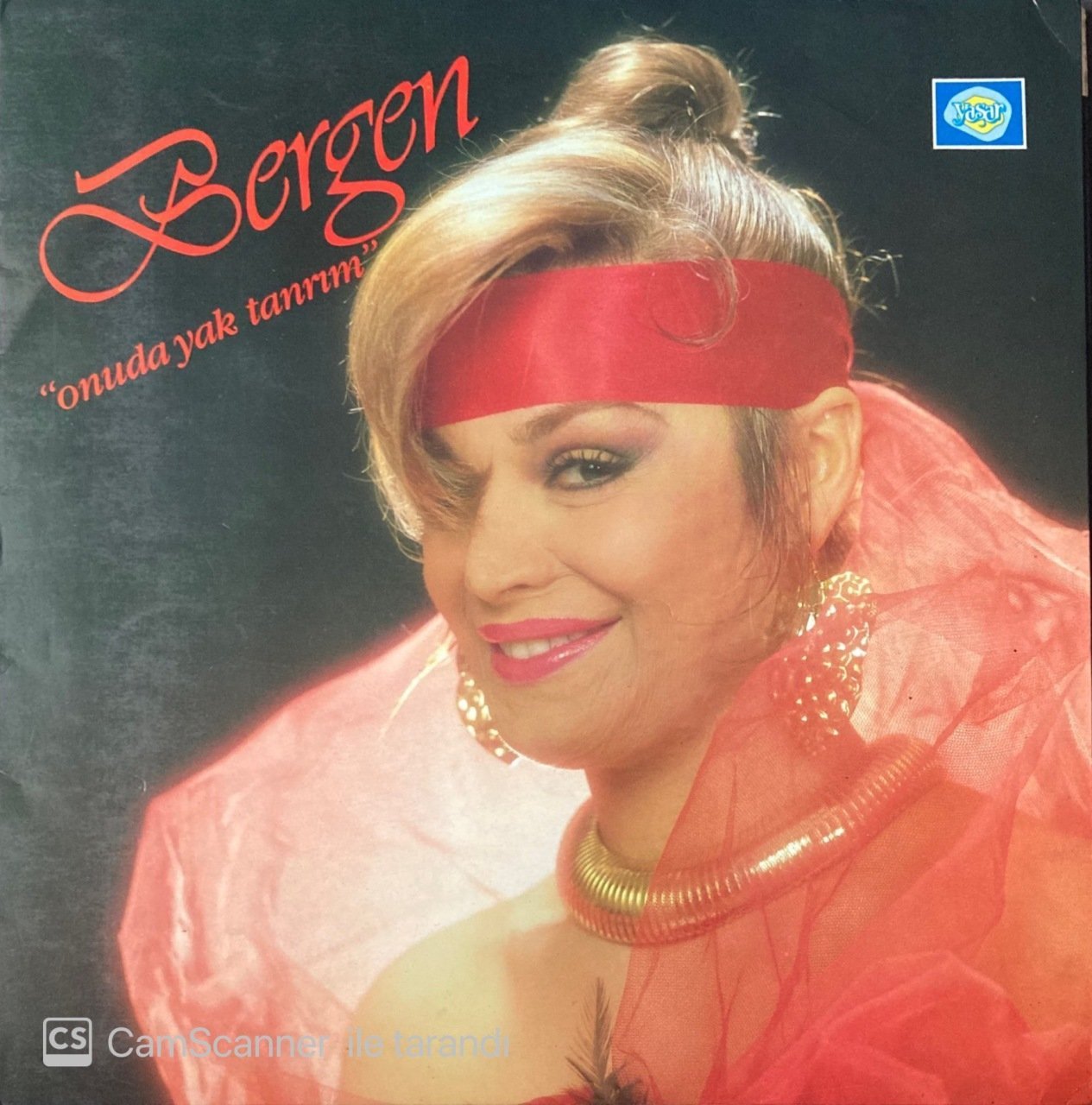 Bergen - Onu da Yak Tanrım LP