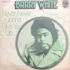Barry White Never Never Gonna Give Ya Up 45lik