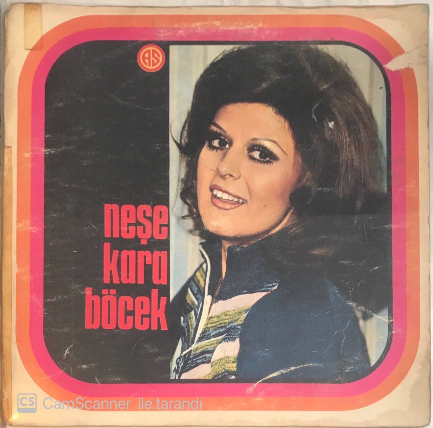 Neşe Karaböcek - Geri Dönülmez Bir Yoldayım LP